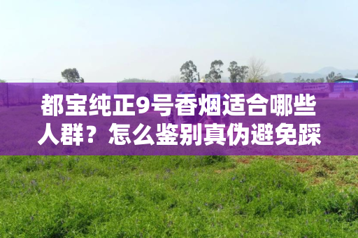 都宝纯正9号香烟适合哪些人群？怎么鉴别真伪避免踩坑？